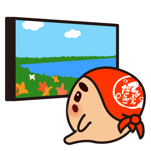 ライブカメラ